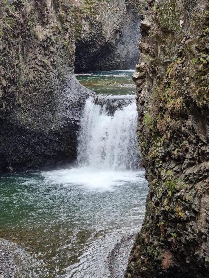 הוילה מולינה Refugio Del Salto -Radal 7 Tazas מראה חיצוני תמונה